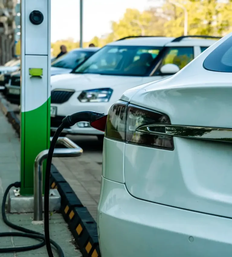 Read more about the article Otopark